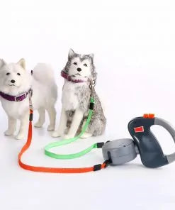 Dog Collars 2 in 1 Dog Leash